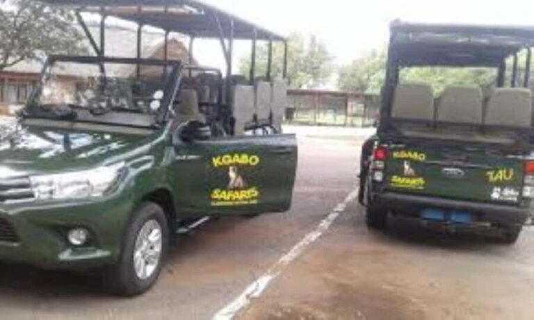 Pilanesberg : Evening Night Safari Drive - Who Will Love This Tour?