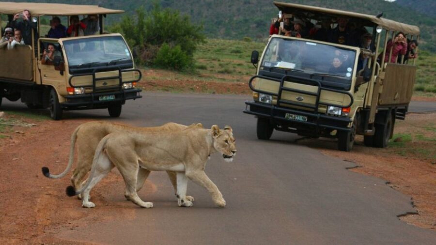 Pilanesberg Full-Day Shared Safari with Sun City Visit - How the Experience Adds Value