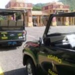 Pilanesberg : Game Drive with Lunch - Bakubung Gate - Practical Details: What You Need to Know
