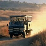 Pilanesberg National Park: 6H Game Drive with Lunch - The Guides: A Major Plus