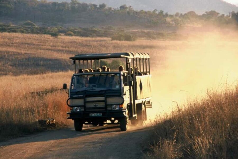 Pilanesberg National Park: 6H Game Drive with Lunch - The Guides: A Major Plus