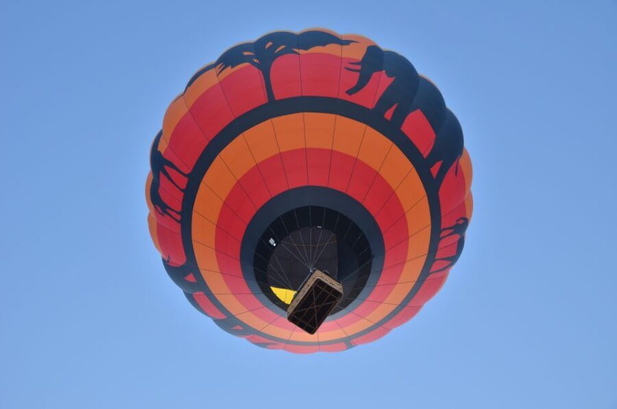 Pilanesberg National Park/Sun City Hot Air Balloon Safari - A Beautiful Perspective on the African Wilderness