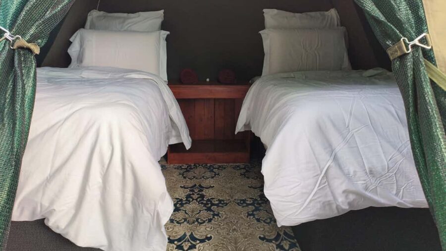 Pilanesberg: Two-Day Camping Adventure from Johannesburg - The Itinerary: What to Expect