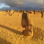 Pinnacles and Swan Valley Day Tour - Practical Tips and Considerations