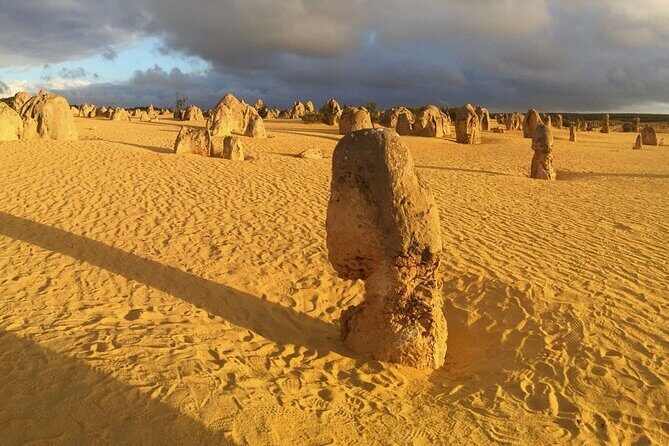 Pinnacles and Swan Valley Day Tour - Practical Tips and Considerations