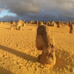 Pinnacles Day Tour - Why This Tour Offers Great Value