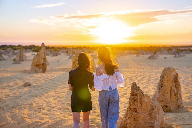 Pinnacles Desert Lobster Tour from Perth - Transportation and Comfort