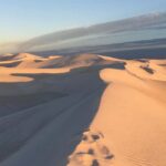 Pinnacles Desert Private Tour - Hangover Bay Beach: A Scenic Stop for Fresh Air