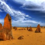 Pinnacles, Koalas & Sandboarding Tour Day Trip from Perth - What Sets This Tour Apart
