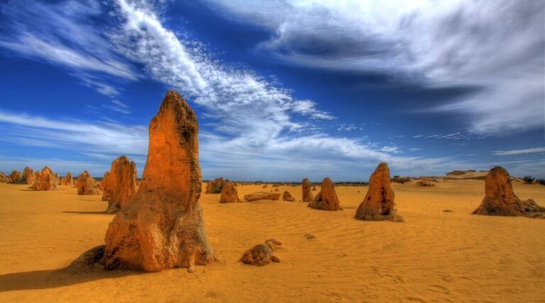 Pinnacles, Koalas & Sandboarding Tour Day Trip from Perth - What Sets This Tour Apart