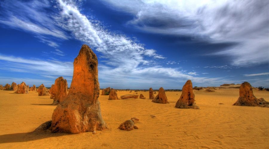 Pinnacles, Koalas & Sandboarding Tour Day Trip from Perth - What Sets This Tour Apart