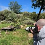 Plettenberg Bay: Cats in Conservation Full Day Tour - The Sum Up