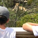 Plettenberg Bay: EcoKidz Family Wildlife Tour - The Experience: What Makes It Special?