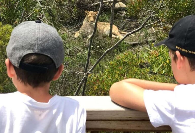 Plettenberg Bay: EcoKidz Family Wildlife Tour - The Experience: What Makes It Special?