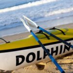 Plettenberg Bay: Guided Sea Kayak Tour - Practicalities and Value