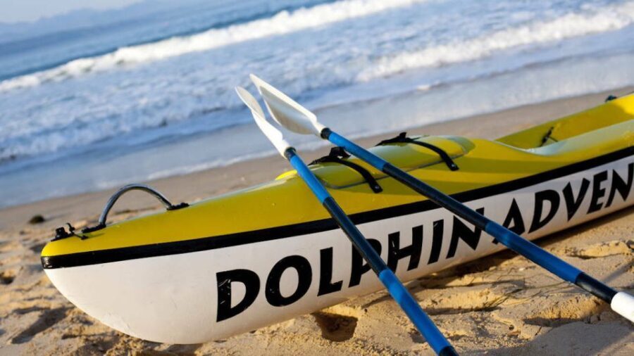 Plettenberg Bay: Guided Sea Kayak Tour - Practicalities and Value