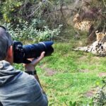 Plettenberg Bay: Private Guided Wildlife Photography Tour - The Revisit Option and Tour Logistics