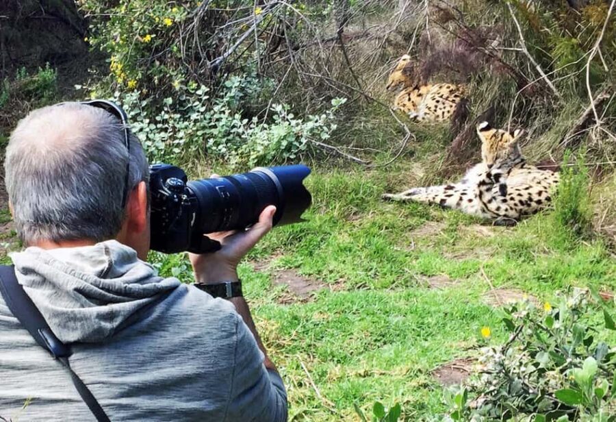 Plettenberg Bay: Private Guided Wildlife Photography Tour - The Revisit Option and Tour Logistics
