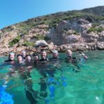 Plettenberg Bay: Swim with Seals - What Makes This Tour Stand Out?