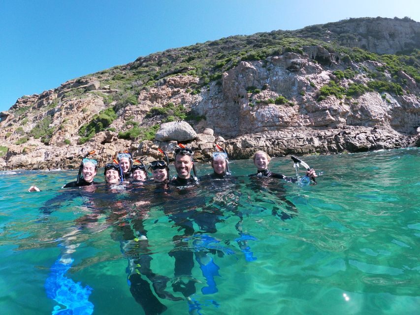 Plettenberg Bay: Swim with Seals - What Makes This Tour Stand Out?