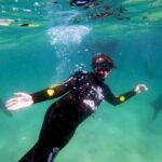Plettenberg Bay: Swim with the Seals - What’s Included and What You Should Bring