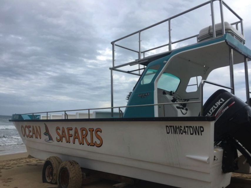 Plettenberg Bay: Whale Watching Boat Cruise - The Boat and Safety Measures