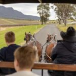 Pokolbin: Harvest the Hunter Horse Drawn Carriage Tour 3hrs - A Detailed Look at the Experience