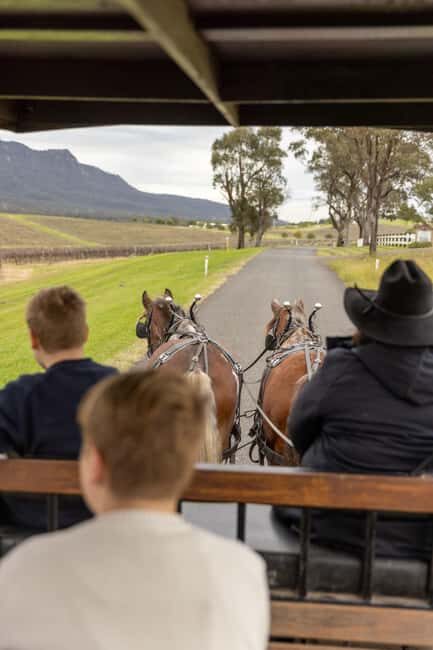 Pokolbin: Harvest the Hunter Horse Drawn Carriage Tour 3hrs - A Detailed Look at the Experience