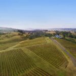 Pokolbin: Picnic & Wine Tasting at Audrey Wilkinson Vineyard - What to Expect: The Details