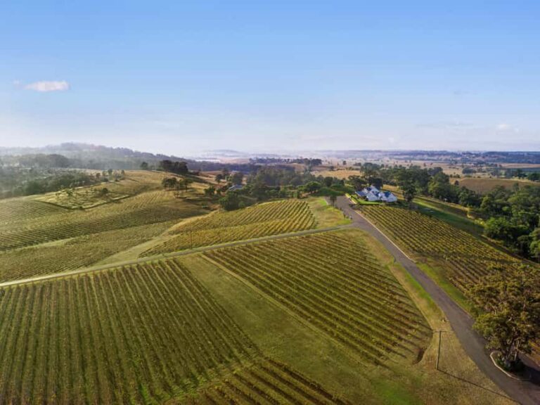 Pokolbin: Picnic & Wine Tasting at Audrey Wilkinson Vineyard - What to Expect: The Details