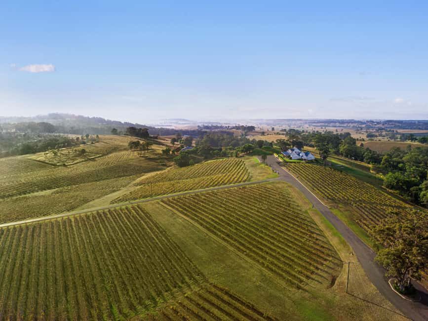 Pokolbin: Picnic & Wine Tasting at Audrey Wilkinson Vineyard - What to Expect: The Details