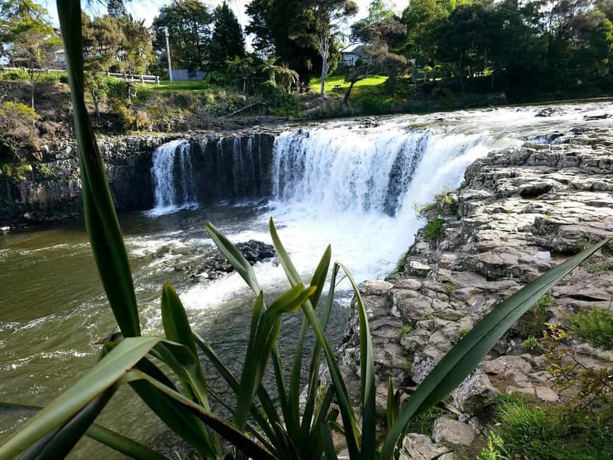 *Popular Tour* - Bay of Islands: Nature Adventure Tour - Practical Tips for Your Tour