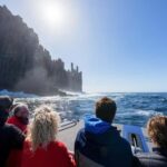 Port Arthur: Cape Raoul Wilderness Cruise - Why This Tour Offers Great Value