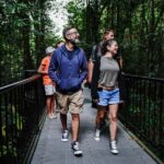Port Douglas: Afternoon Daintree Tour w/ Wildlife Cruise - A Detailed Look at the Daintree Afternoon Tour