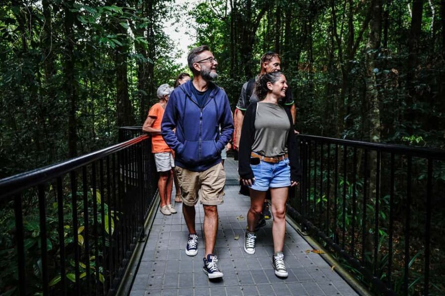 Port Douglas: Afternoon Daintree Tour w/ Wildlife Cruise - A Detailed Look at the Daintree Afternoon Tour