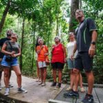 Port Douglas: Best of Daintree Rainforest Day Tour - Practical Details and What to Expect