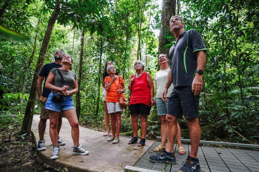 Port Douglas: Best of Daintree Rainforest Day Tour - Practical Details and What to Expect