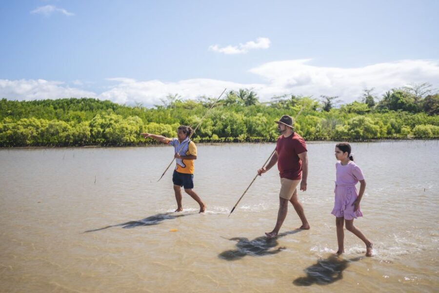 Port Douglas: Daintree Cultural Tour with Hotel Pickup - Who Should Consider This Tour?