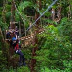Port Douglas: Daintree National Park Tour, Cruise, & Zipline - Price and Value