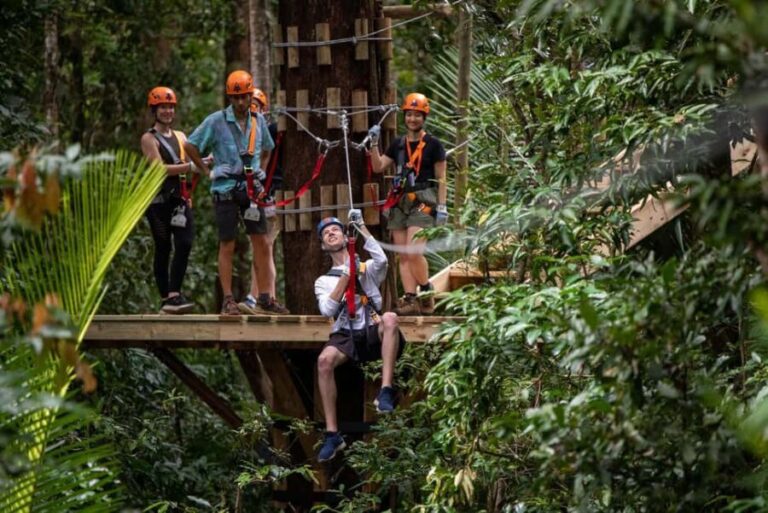 Port Douglas: Daintree Rainforest Canopy Ziplining Tour - Exploring the Details: How the Experience Unfolds