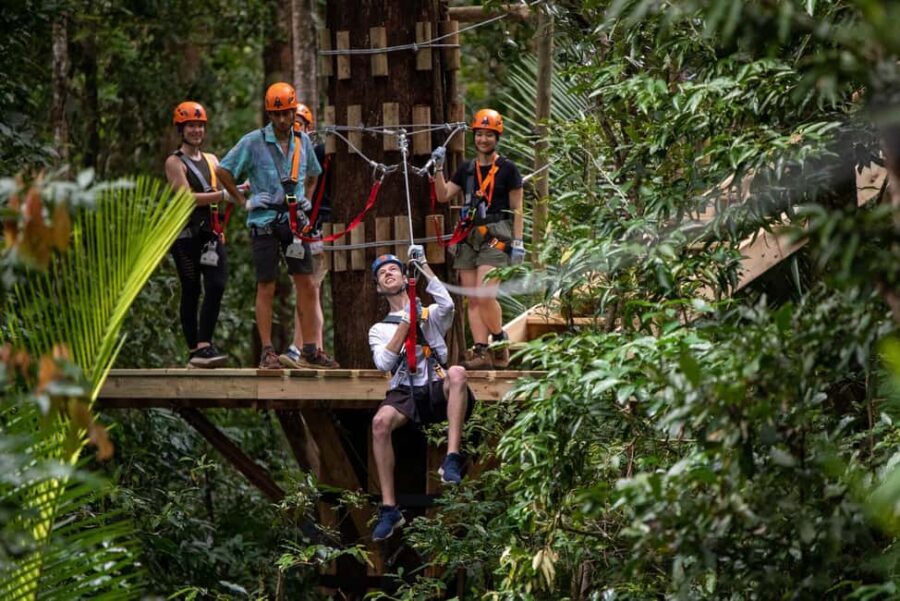 Port Douglas: Daintree Rainforest Canopy Ziplining Tour - Exploring the Details: How the Experience Unfolds