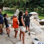Port Douglas & Daintree Tour for Cruise Ship Passenger - Practical Details and Experience Quality