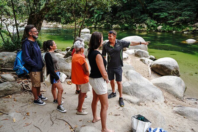 Port Douglas & Daintree Tour for Cruise Ship Passenger - Practical Details and Experience Quality