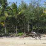 Port Douglas Day Tour from Cairns - Is the Tour Worth the Cost?