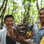 Port Douglas: Full Day Daintree Cultural Tour with Lunch - Exploring the Daintree Rainforest