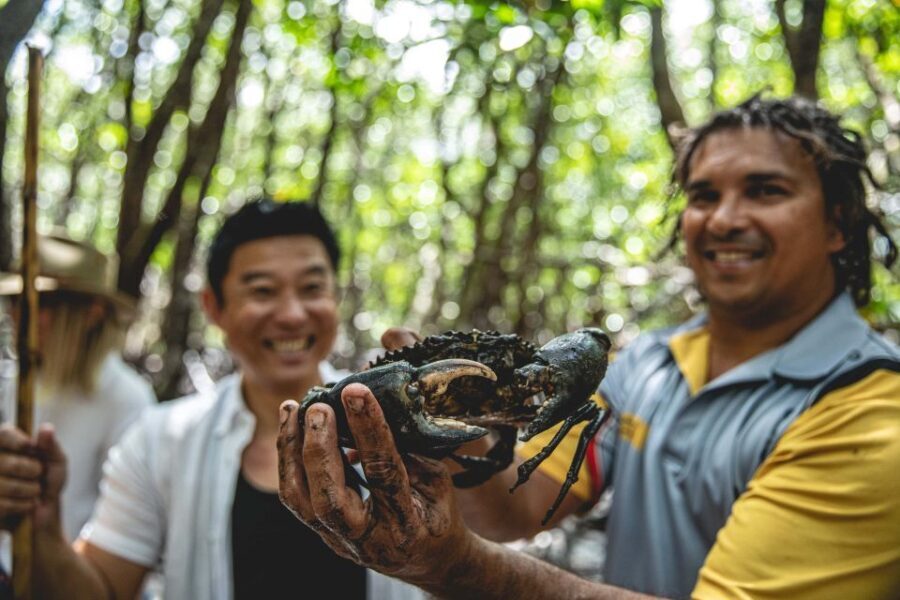 Port Douglas: Full Day Daintree Cultural Tour with Lunch - Exploring the Daintree Rainforest