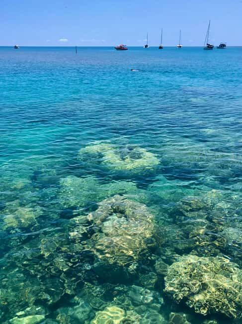 Port Douglas: Half-Day Low Island and Lagoon Snorkeling Tour - The Experience in Detail: Authentic Insights from Travelers
