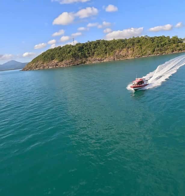 Port Douglas: Half Day Outer Reef Snorkelling Tour - The Snorkeling and Marine Environment
