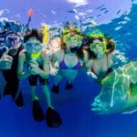 Port Douglas: Just 12 Passengers Guided Snorkel Reef Cruise - Practical Aspects