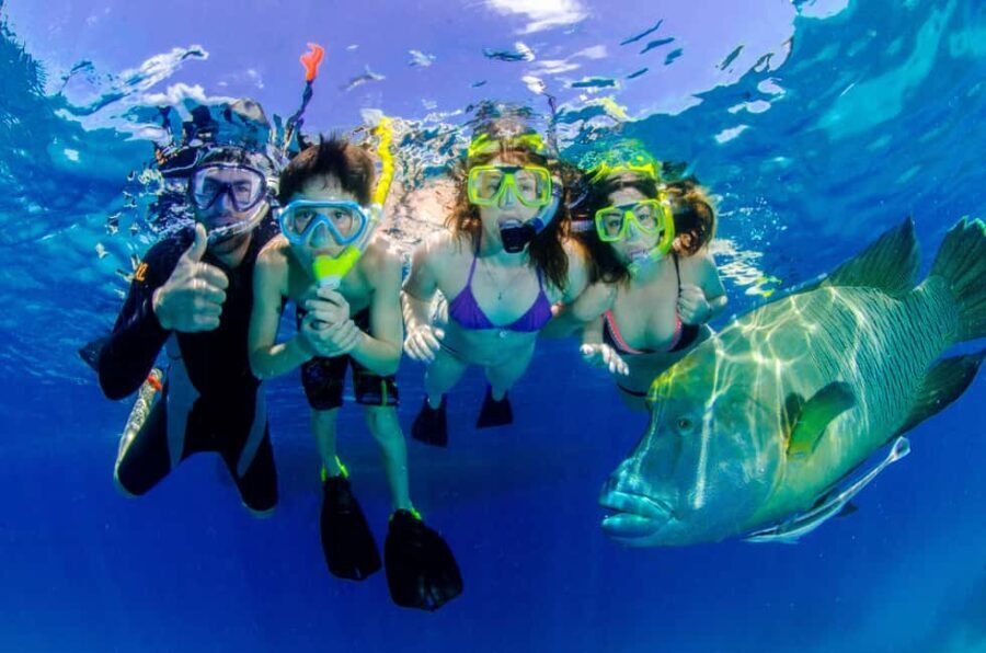 Port Douglas: Just 12 Passengers Guided Snorkel Reef Cruise - Practical Aspects